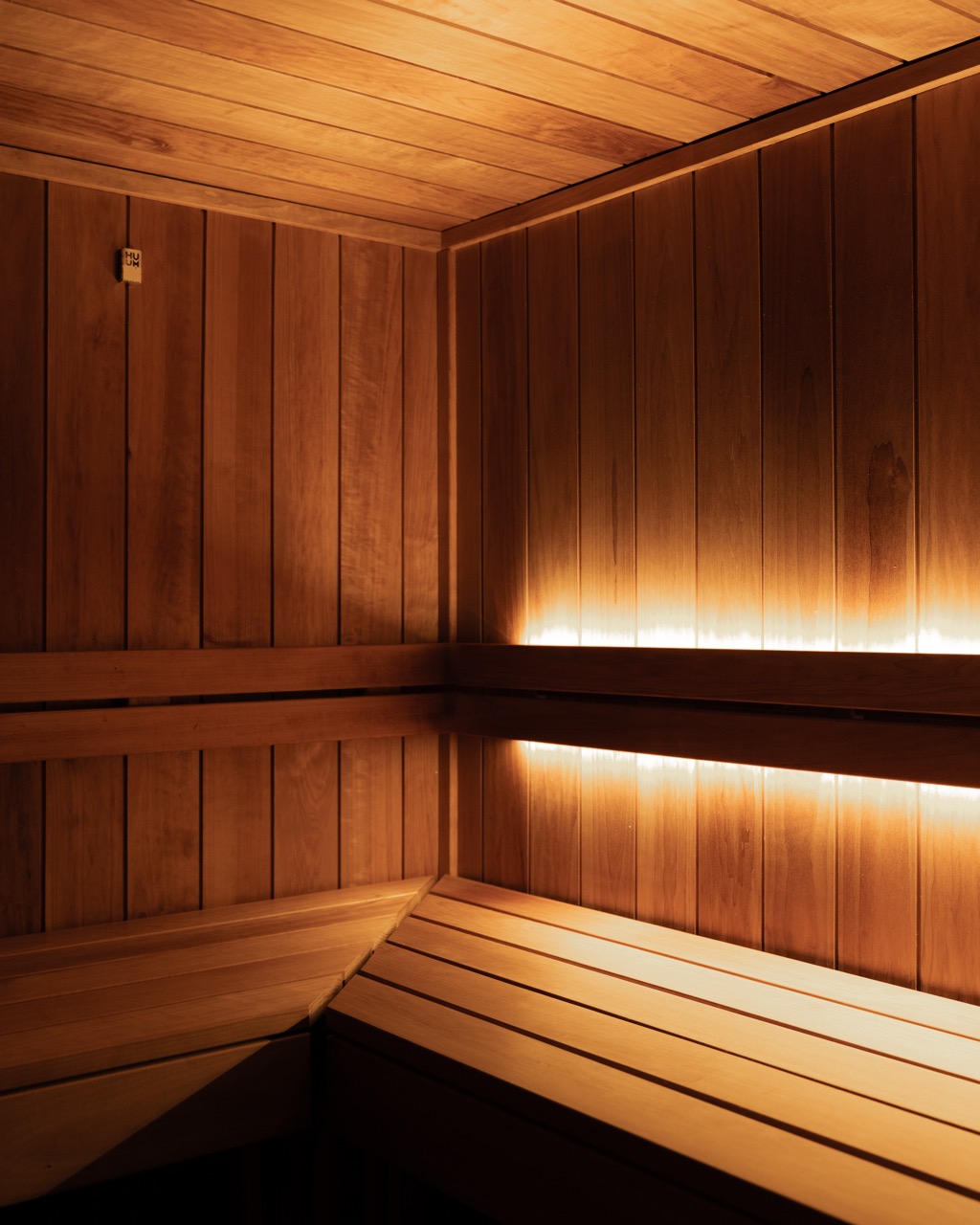 Container sauna interior, LED-lit benches