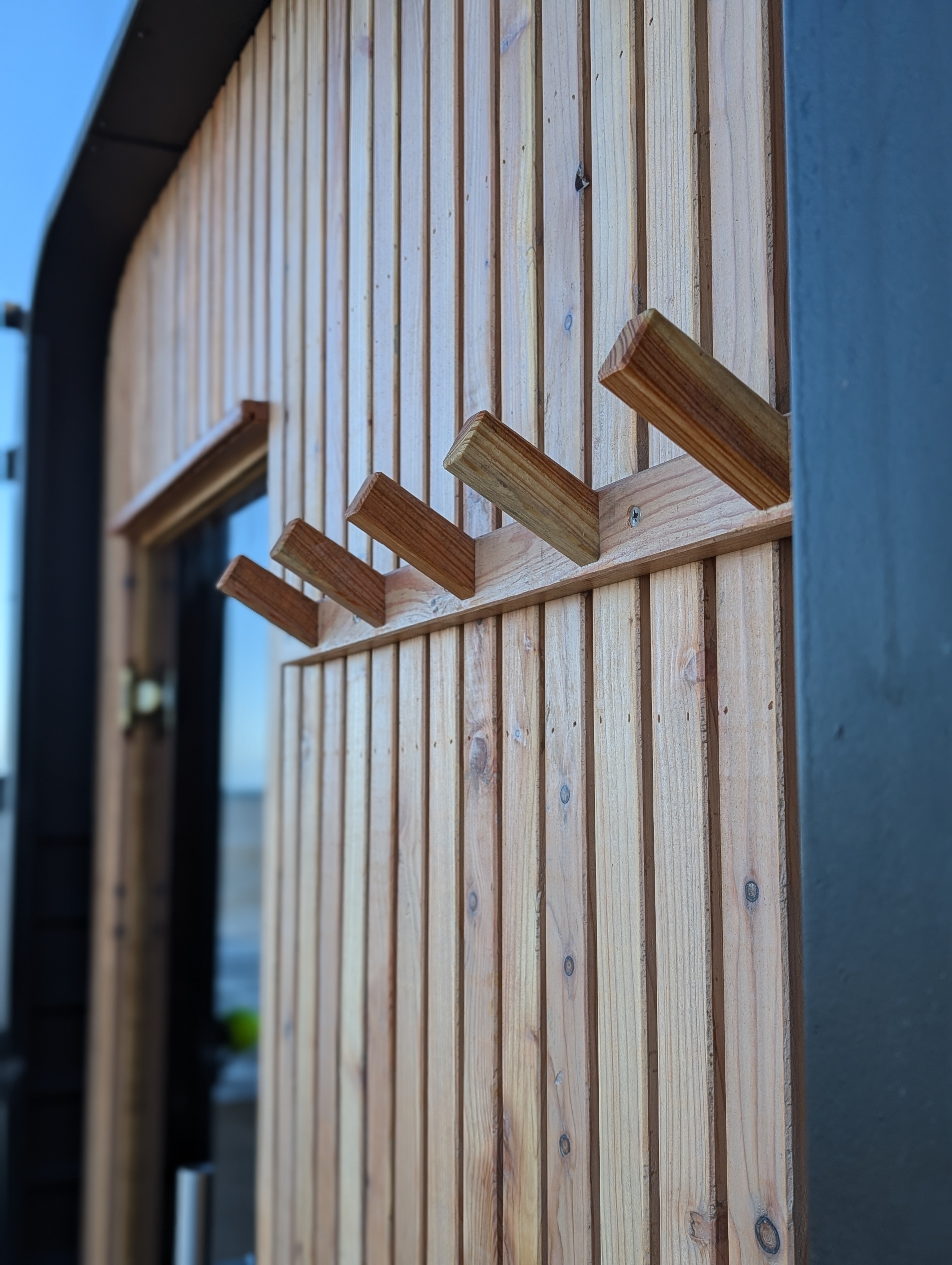 Sauna vs cold plunge: the complete guide
