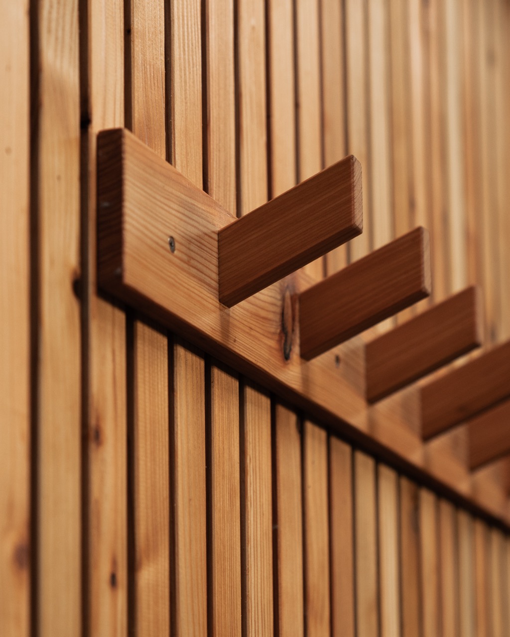 Interior detail, robe hooks on thermo aspen timber wall